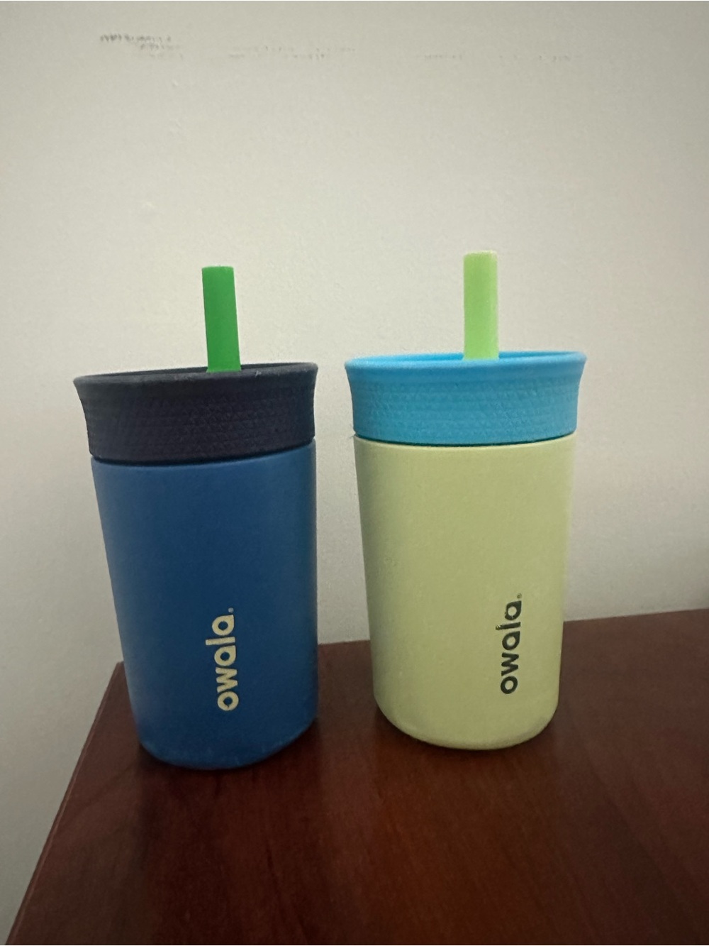 Two pack of OWALA Insulated Kids Sippy 12 oz Cup - Blue & Light Green